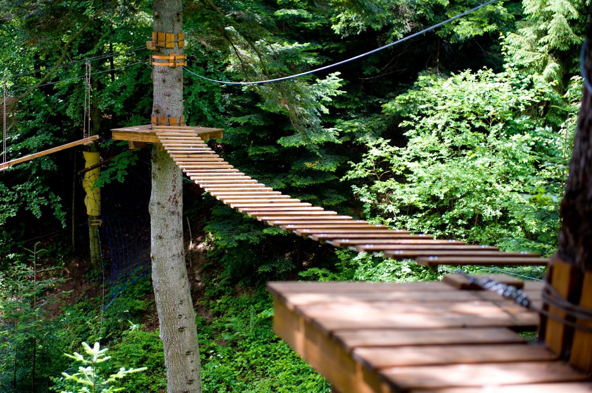 Taor Karpaty Resort & Spa Skhidnytsia エクステリア 写真