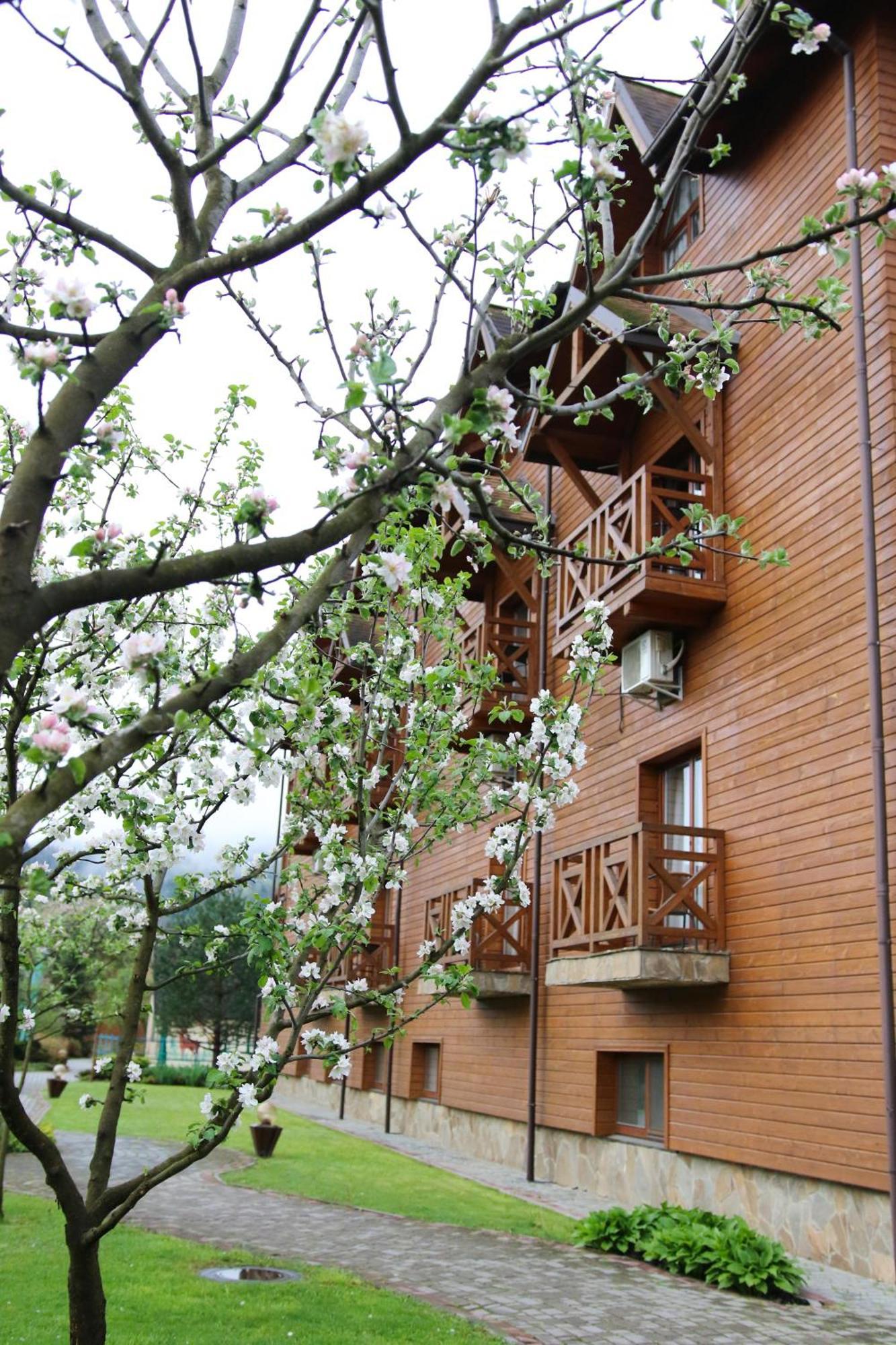 Taor Karpaty Resort & Spa Skhidnytsia エクステリア 写真